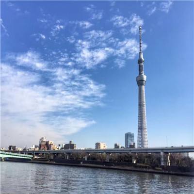 刀锋猎人手游下载